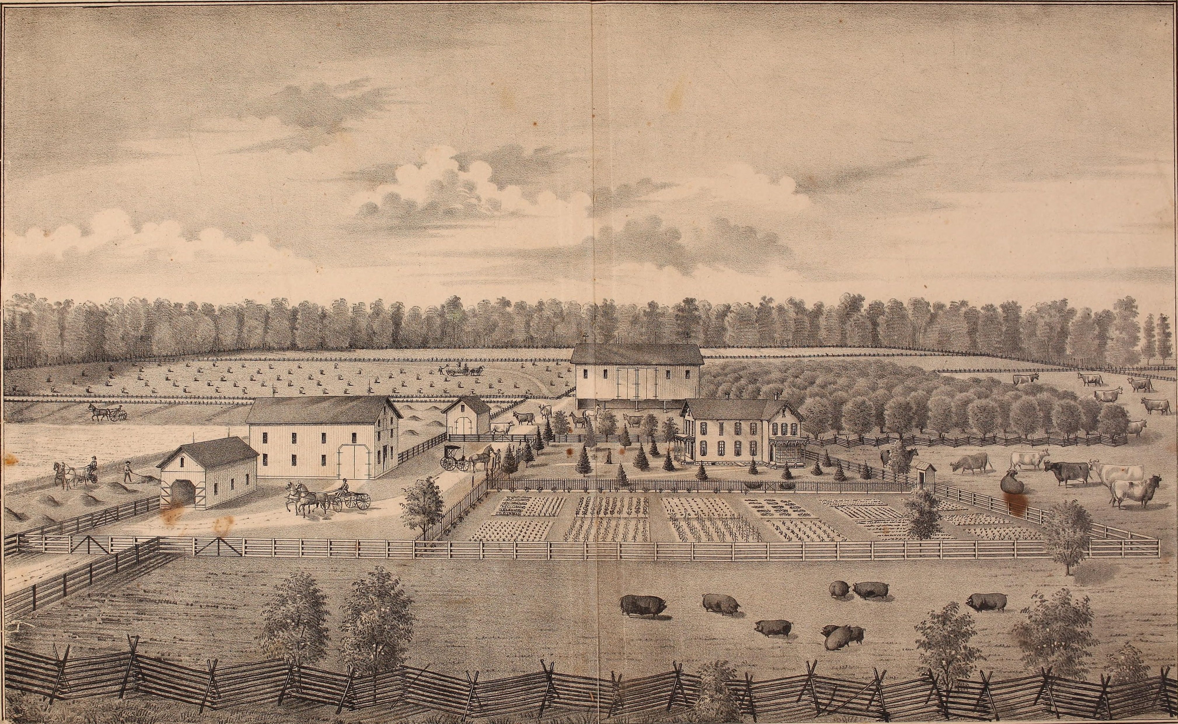 The Geeseking farm in Washington Township